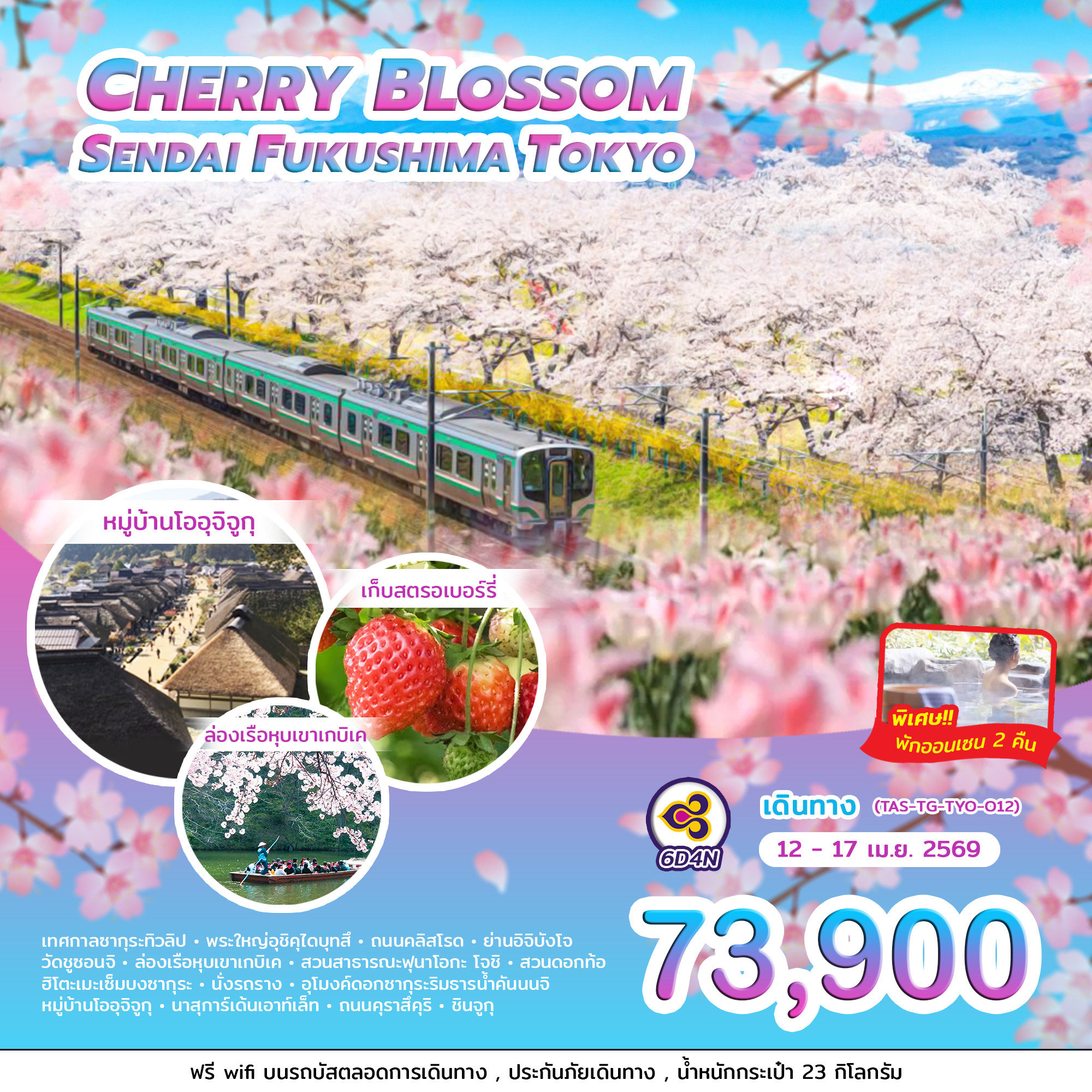 CHERRY BLOSSOM SENDAI FUKUSHIMA TOKYO 6 วัน 4 คืน 